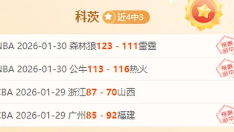 波尔图巨擘追逐蒂亚戈-席尔瓦，转会洽谈火热，锁定2025夏窗目标