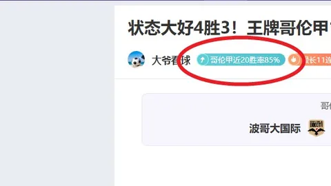 “2025中超联赛第十四轮赛事亮点盘点”