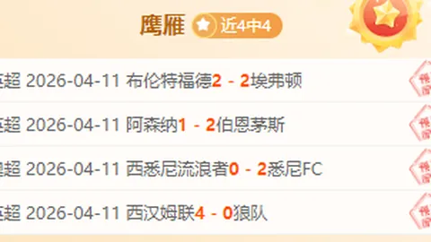 美火箭残骸波兰频现，神秘物体接连降落